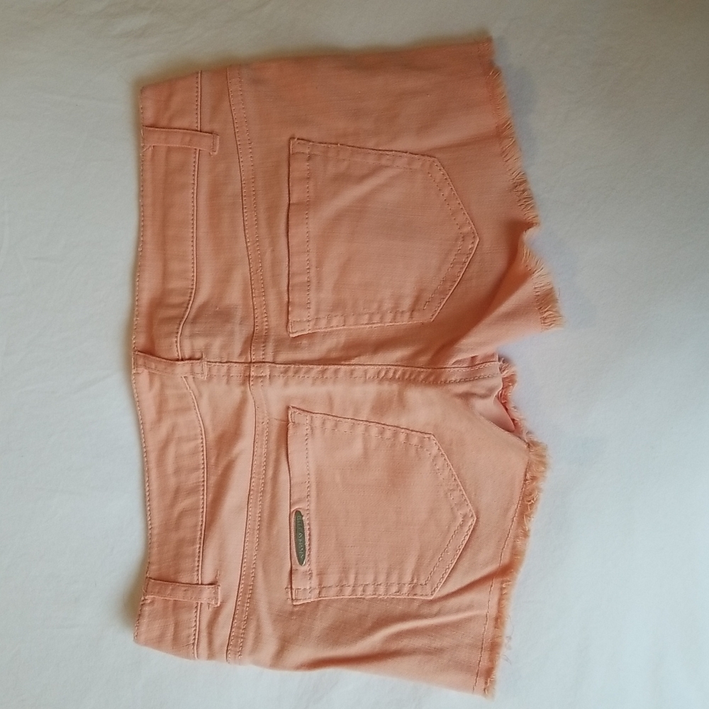 CELEBRITY PINK Summer Melon Shorts